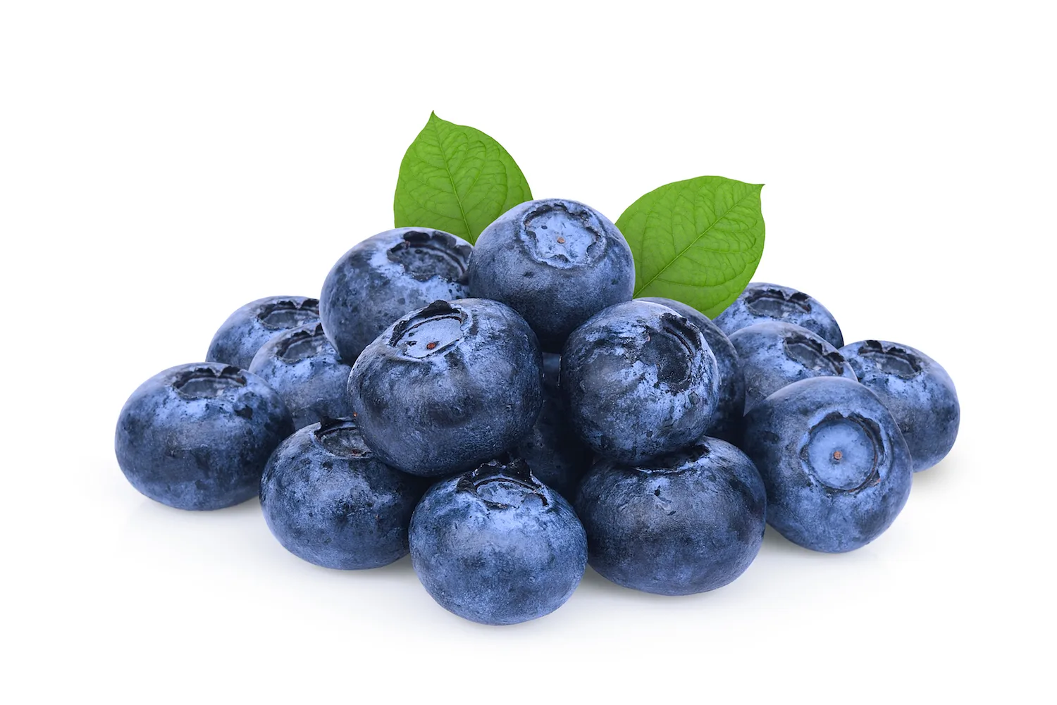 one serve blueberries