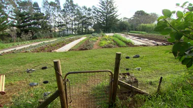 Buena Vista Farm Walkaround