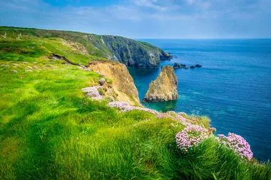 A taste of Ireland