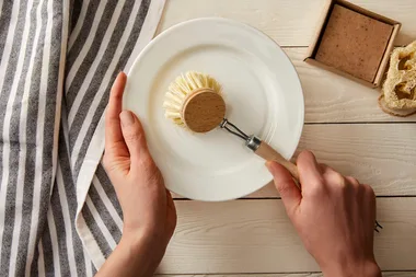 The germy truth about your trusty kitchen dish brush