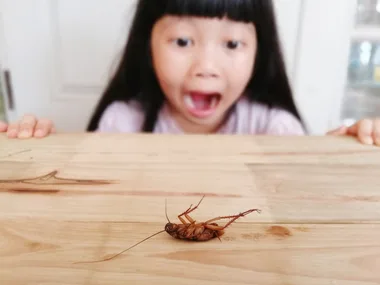 The best natural cockroach repellent ever