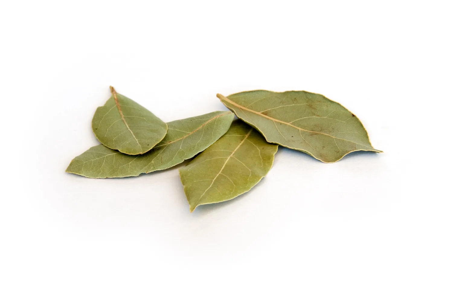 bay leaves repel cockroaches