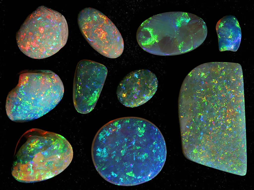Over $300,000 of top grade harlequin opals and rare opalised shells on display in the mining town of Coober Pedy in 2005