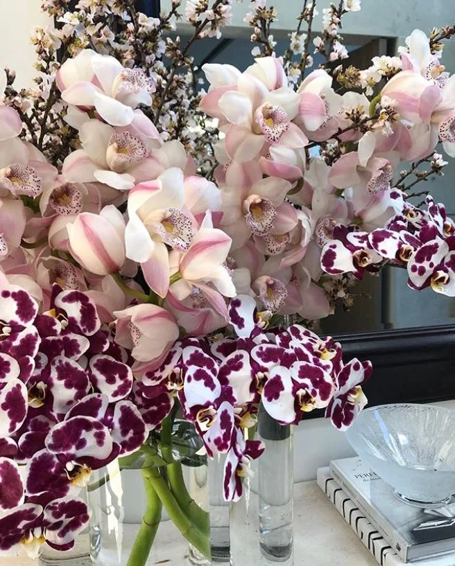 Lilac and Willow