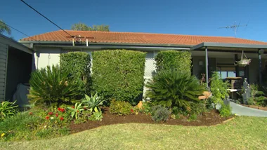 Spring gardening tips for this weekend