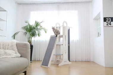 8 stylish cat trees your feline will love