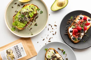 You can now buy edible bugs for snacks at your local supermarket