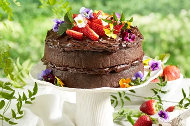 Chocolate, zucchini and spinach cake with avocado chocolate frosting