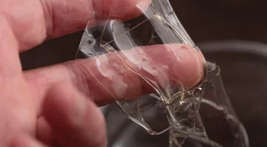 Gelatin on a person's fingers