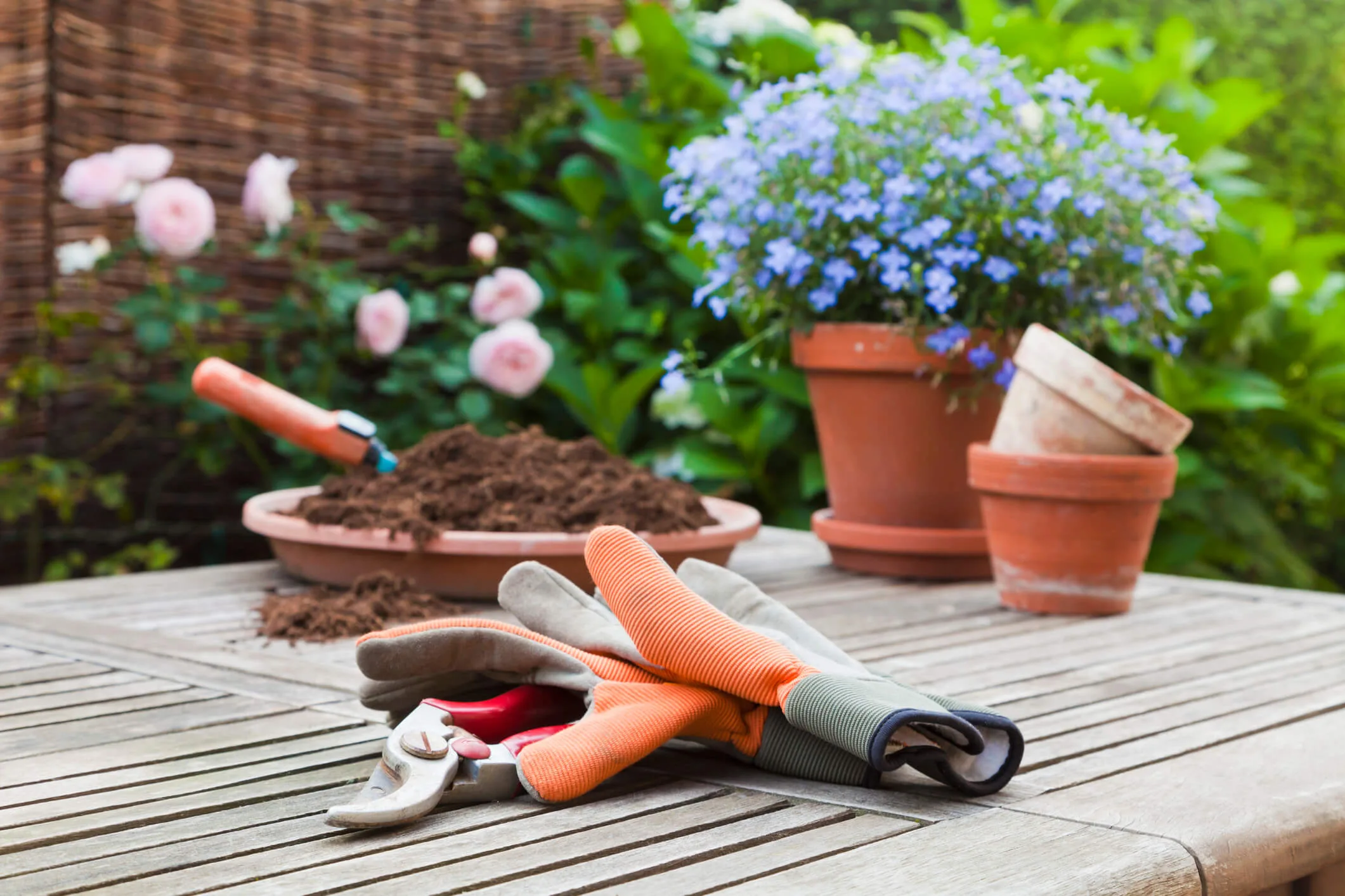 Gardening equipment lying on an outside wooden table