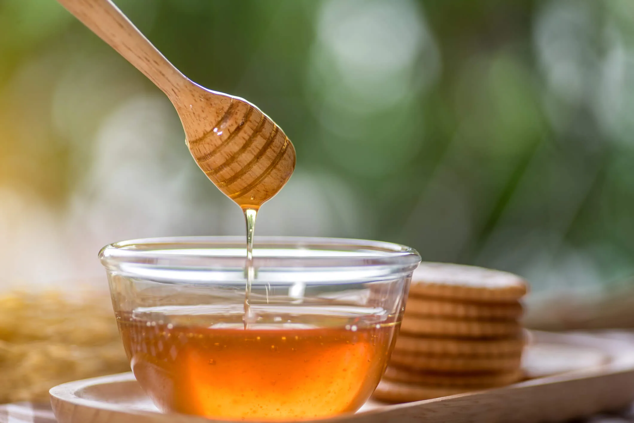 Honey and a honey dipper with bread
