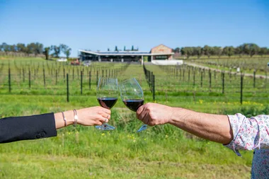 Why organic wine could be better for you