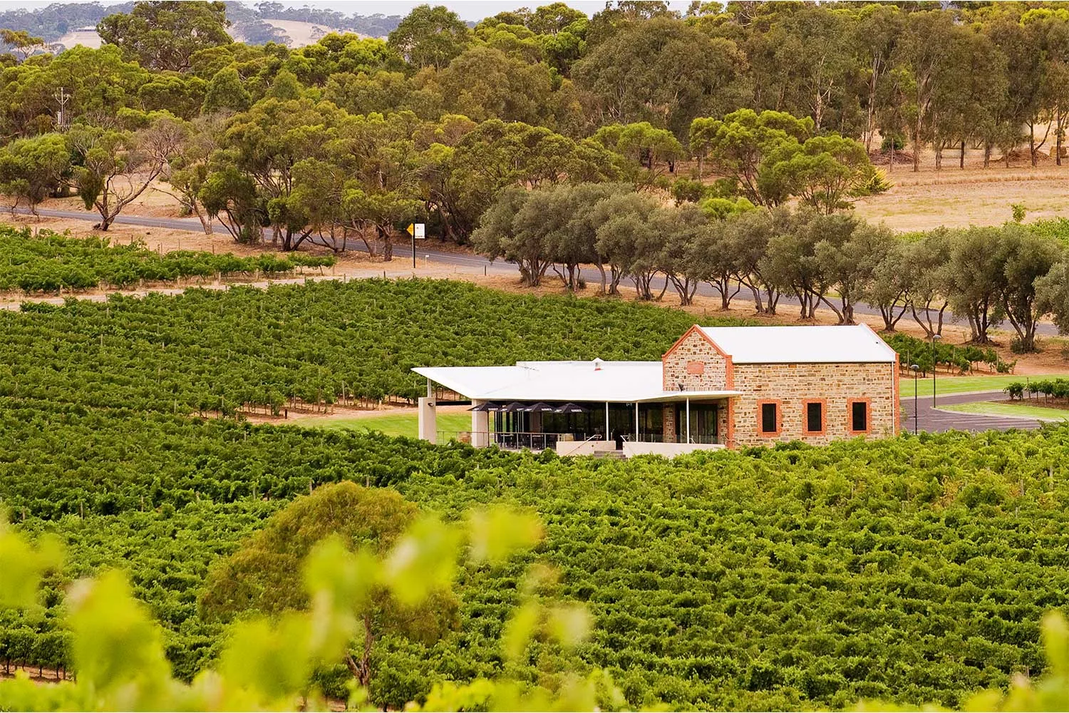Angove Organic wine