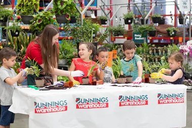 Watch out Woolworths, Bunnings are giving away free seedling kits, too