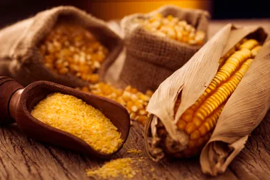 Dried corn, popcorn kernels & cornstarch on a wooden board