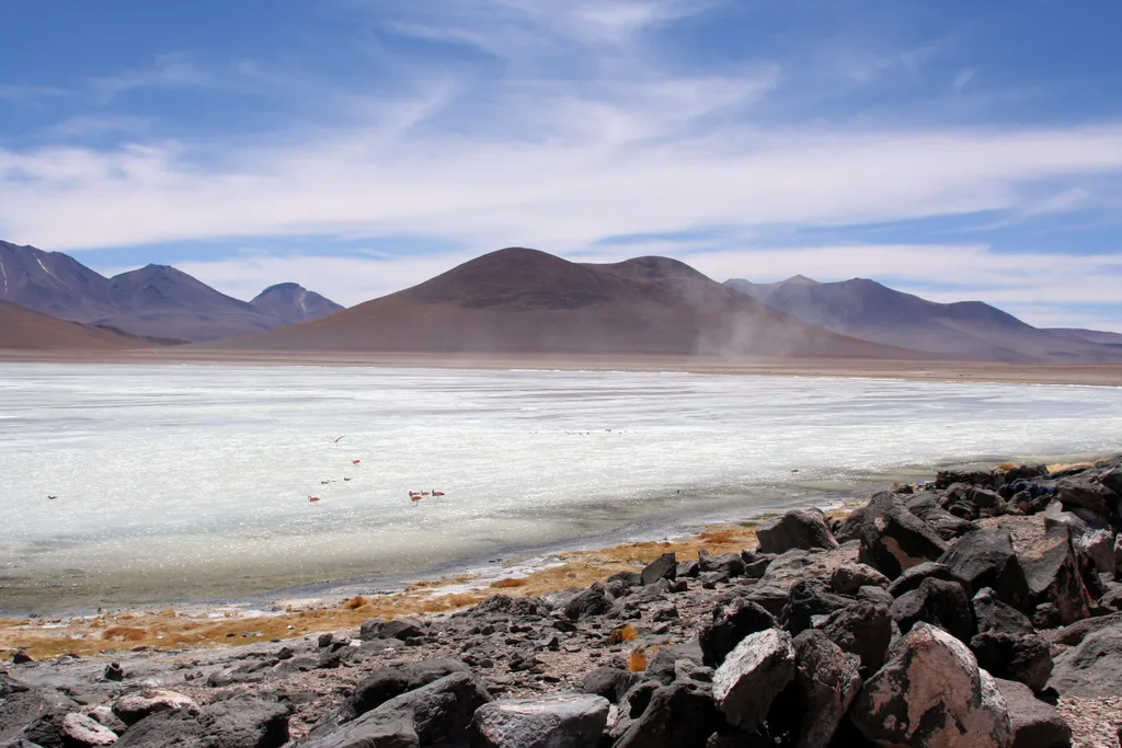 A white lagoon in the bolivian plateau