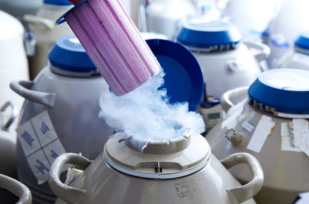 Eggs frozen in storage using IVF