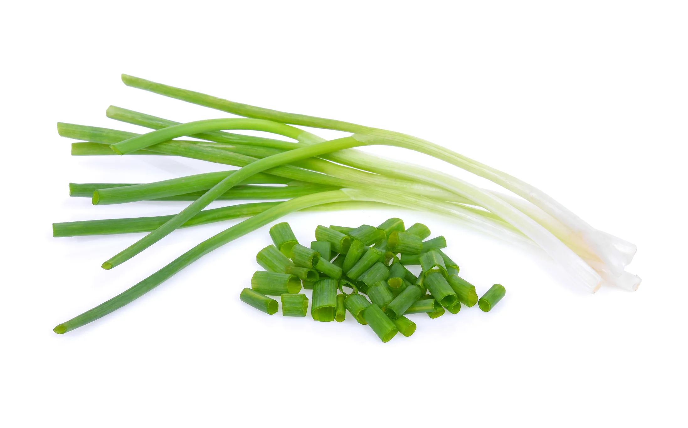A bunch of spring onions on a white background
