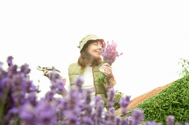 How to prune your lavender plant in 5 easy steps
