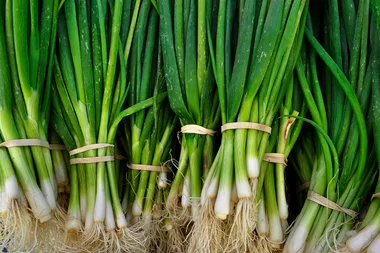 Can spring onions and shallots substitute each other in recipes?