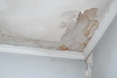 A closeup of a water damaged ceiling