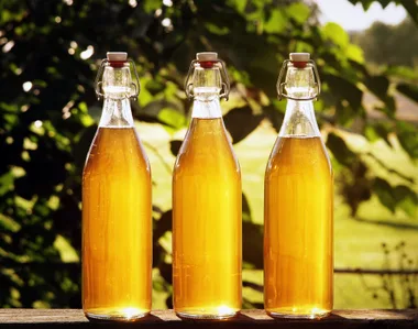 What is honey mead?