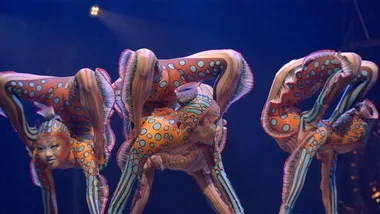 Cirque Du Soleil