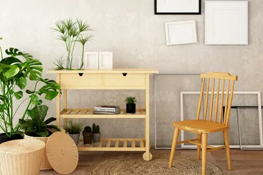 This is Australia’s most popular indoor plant