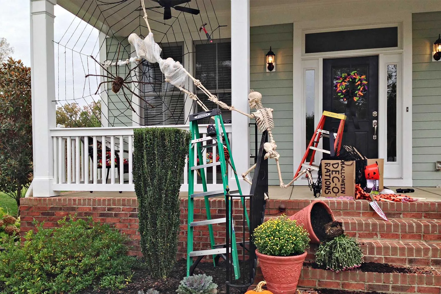 Funny skeletons posing for Halloween