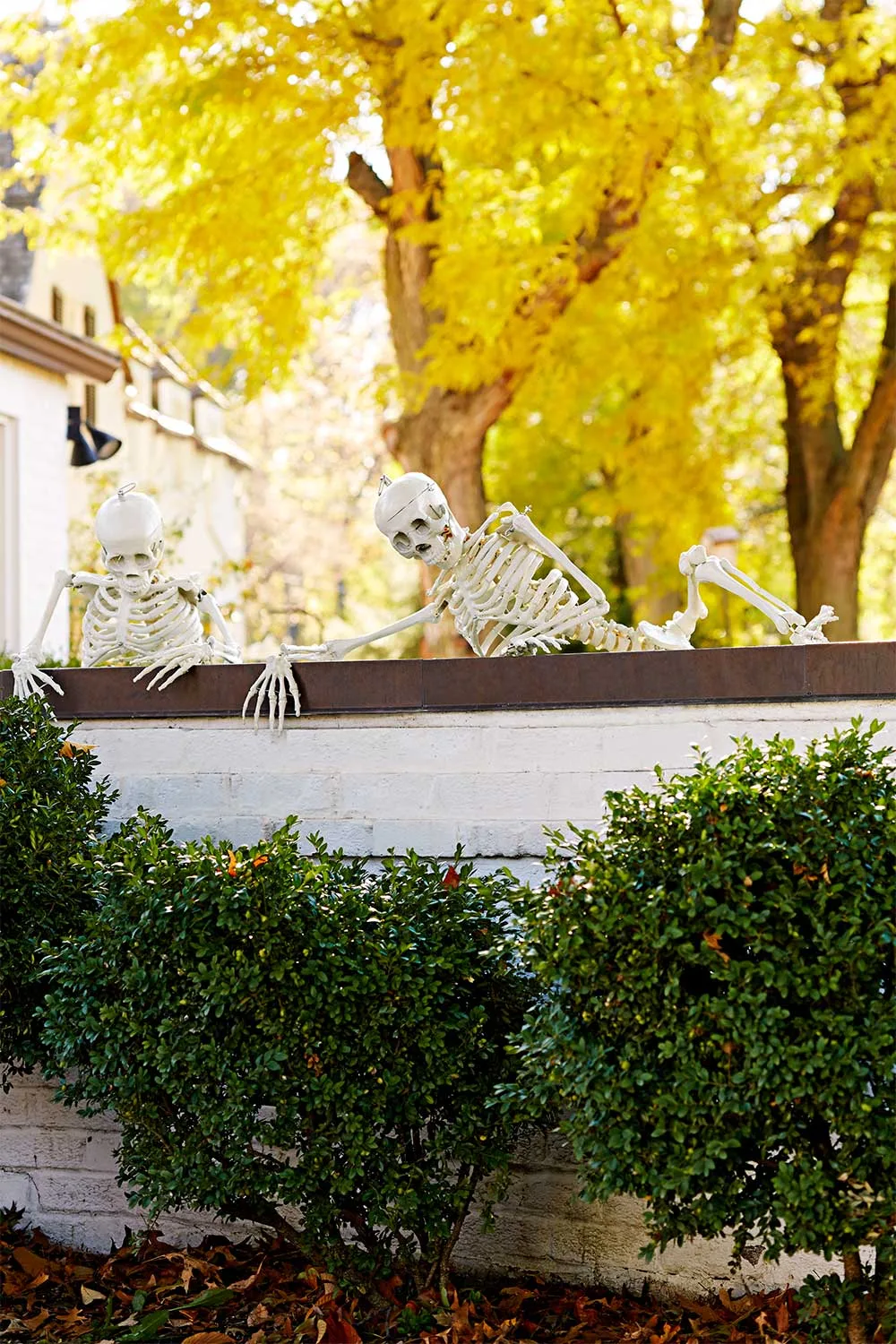 Funny skeletons poses for Halloween