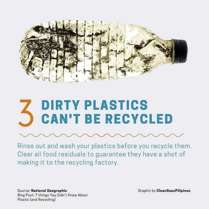 recycling infographic