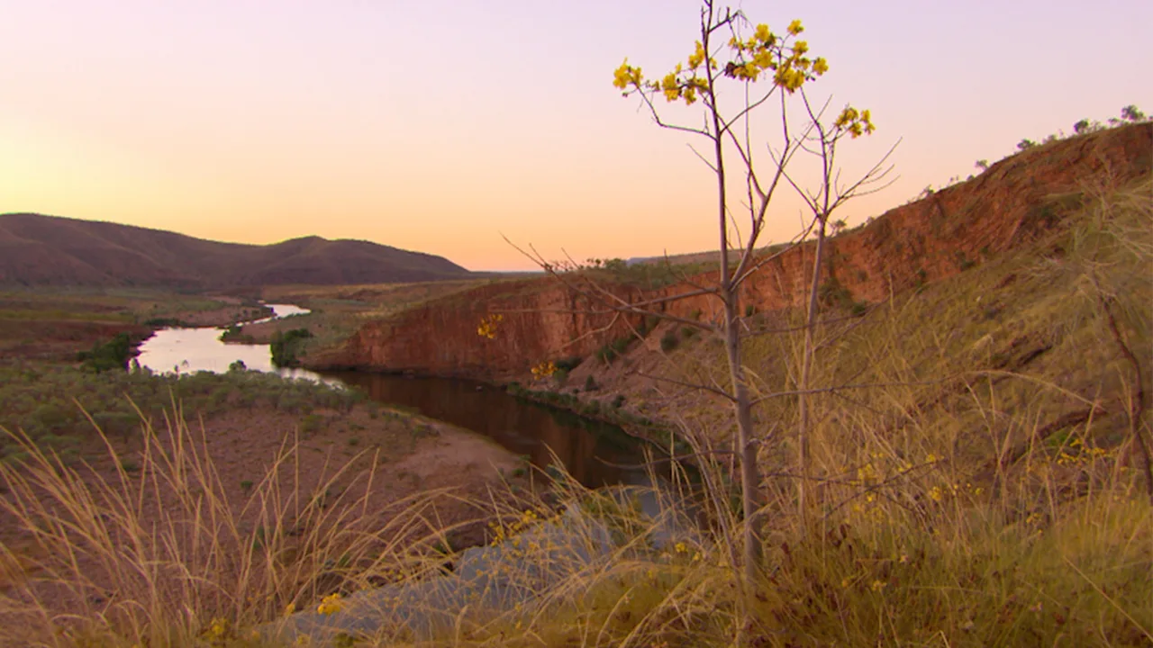 EL QUESTRO WALKAROUND