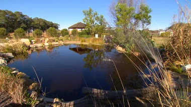 SECRET GARDEN RICHMOND – GUINEA PIGS