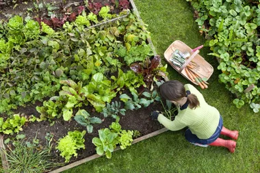 6 best planter boxes for your garden