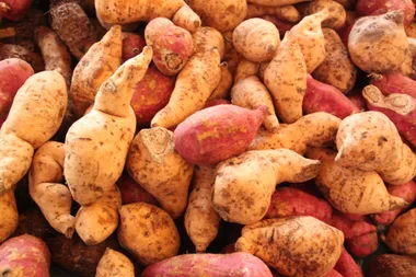A full frame shot of sweet potatoes