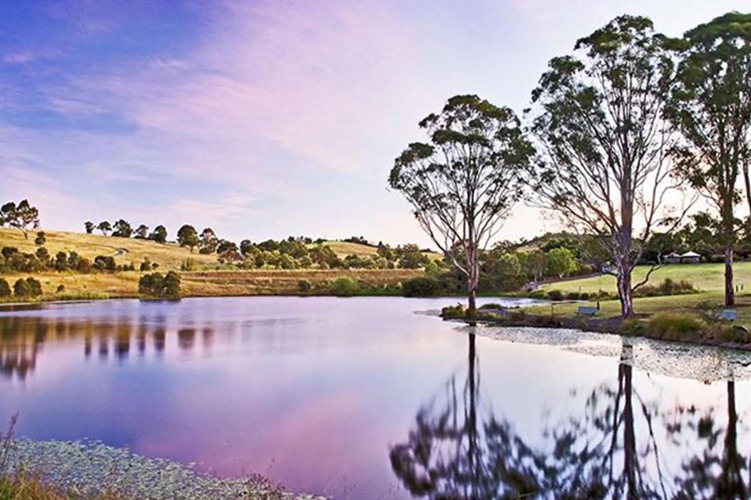 Australian Botanic Gardens