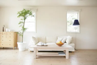5 of the most disgusting things found in Australian sofas