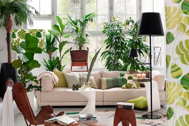 You can now hear your plants sing