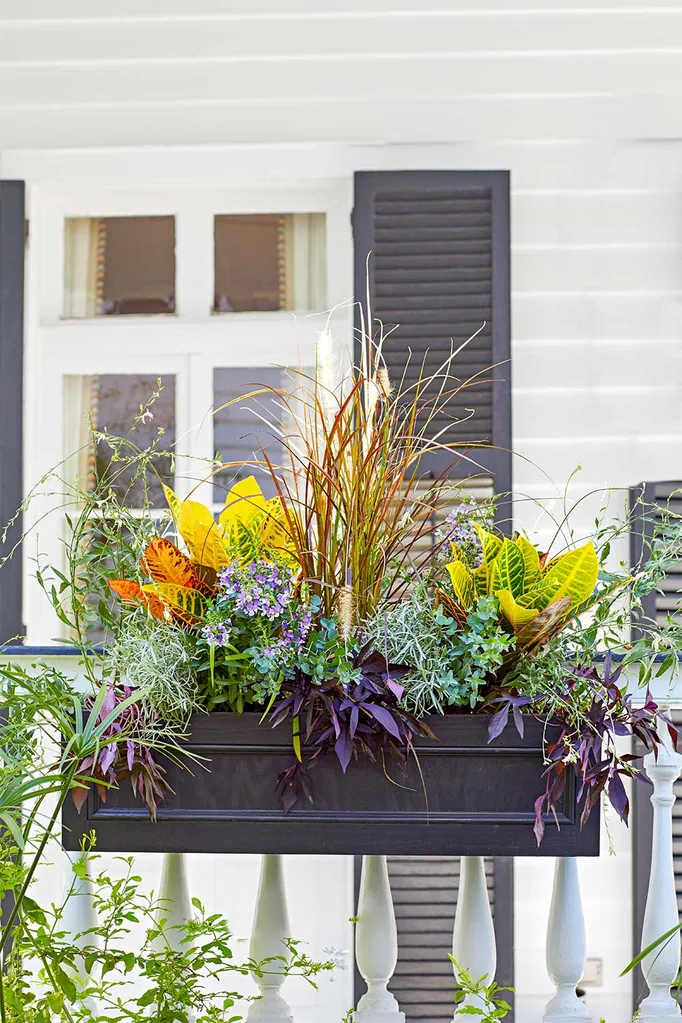 Window box flowers