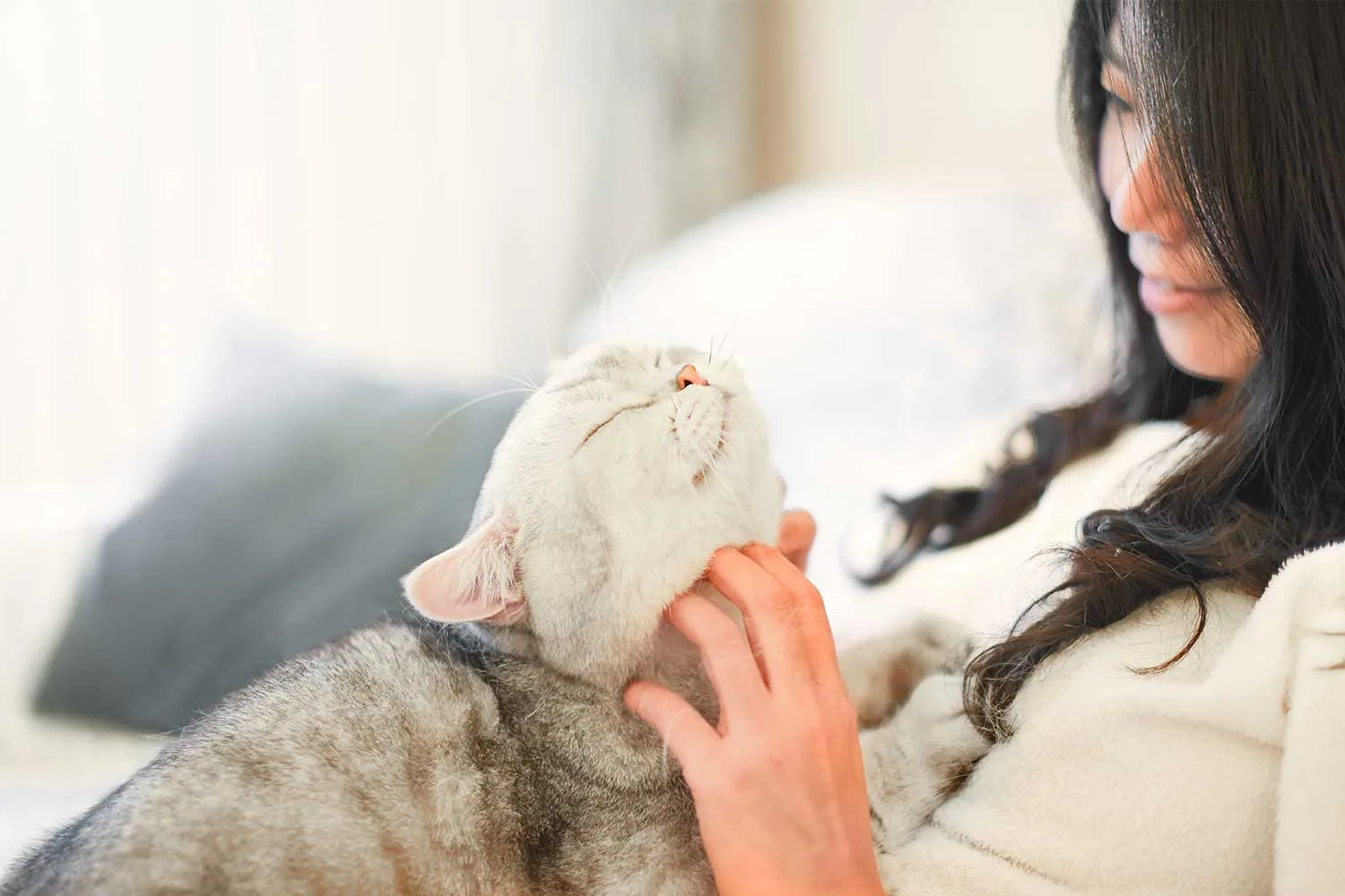 Woman patting cat