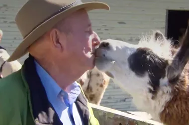 Dr Harry’s 5 cutest animal moments