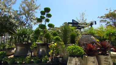 Graham’s tips for choosing the perfect pot & caring for your plants