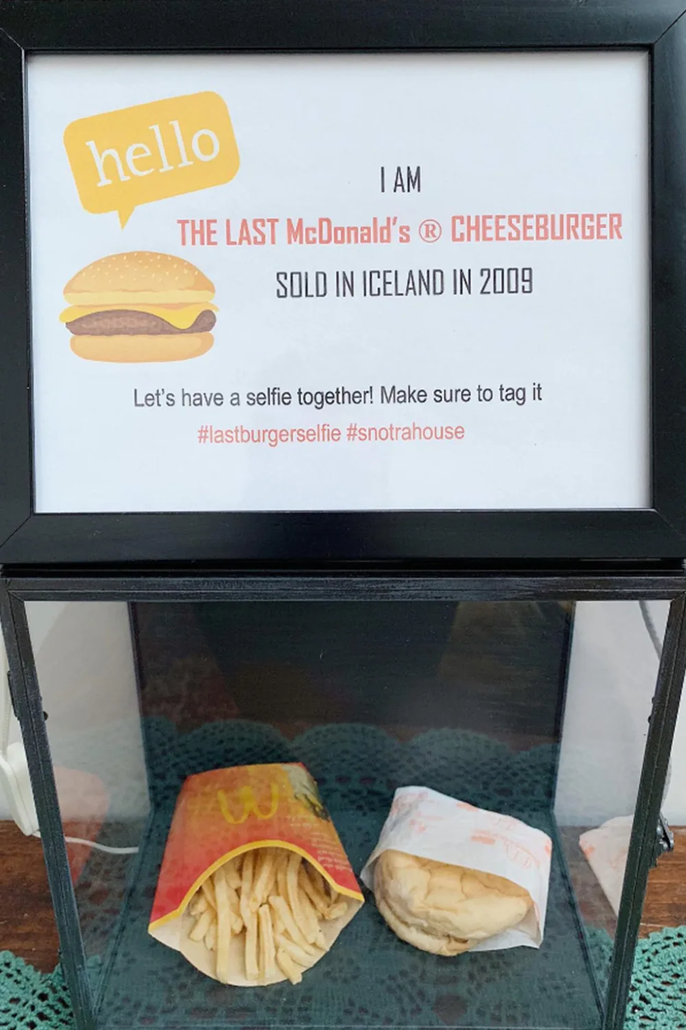 mcdonalds burger and fries in glass case