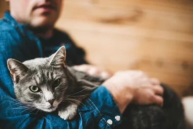 Research finds cat people are smarter than dog people