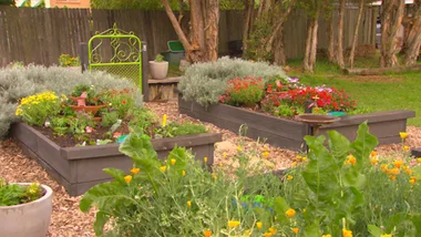 How to make a simple self-watering pot