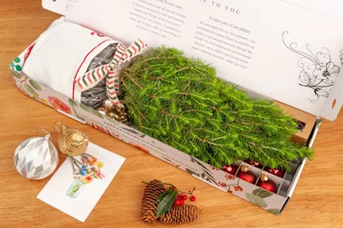 christmas tree in a box