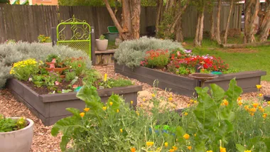 How to make a simple self-watering pot