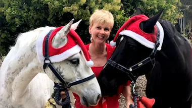 Dr Harry visits some healing horses