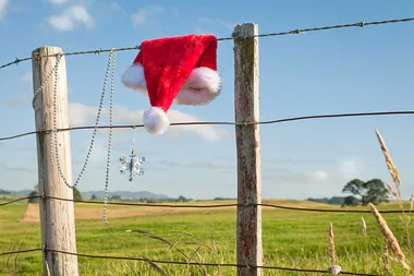 10 gifts you can buy to help businesses in the bush