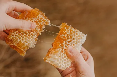 broken honey comb